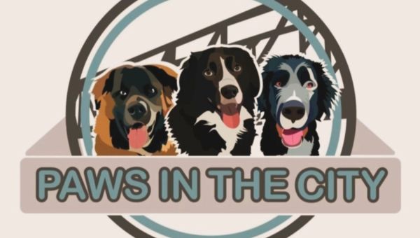 Success Story: Brenda Schultz — Building Confidence and Value with Paws in the City
